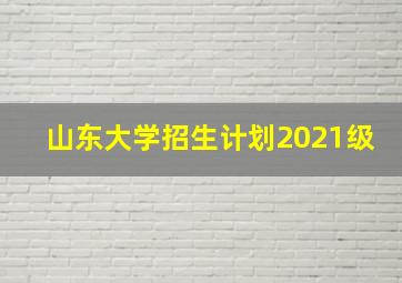 山东大学招生计划2021级