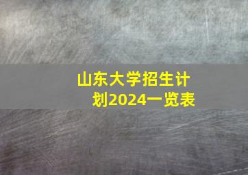 山东大学招生计划2024一览表