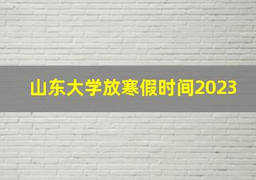 山东大学放寒假时间2023