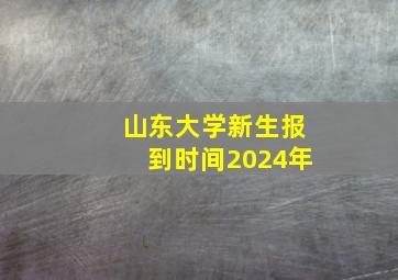 山东大学新生报到时间2024年