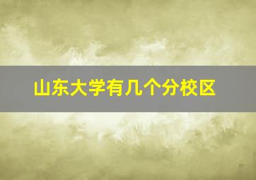 山东大学有几个分校区