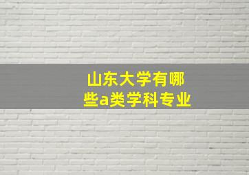 山东大学有哪些a类学科专业