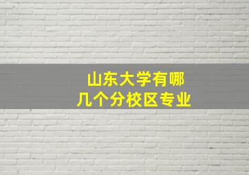 山东大学有哪几个分校区专业