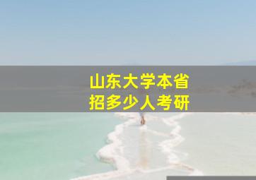 山东大学本省招多少人考研