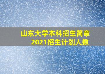 山东大学本科招生简章2021招生计划人数