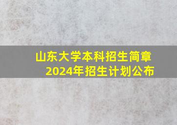 山东大学本科招生简章2024年招生计划公布