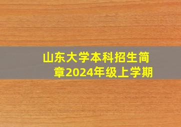 山东大学本科招生简章2024年级上学期