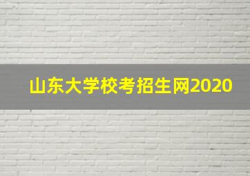 山东大学校考招生网2020