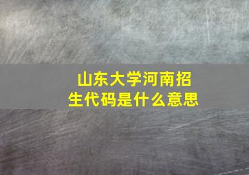 山东大学河南招生代码是什么意思