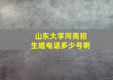 山东大学河南招生组电话多少号啊