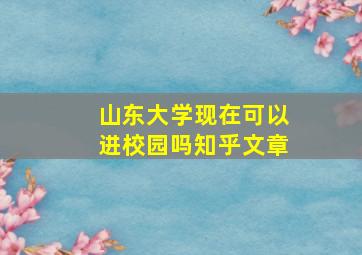 山东大学现在可以进校园吗知乎文章