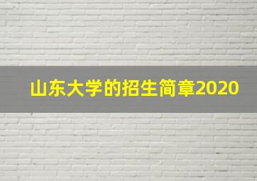 山东大学的招生简章2020