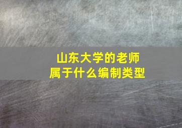 山东大学的老师属于什么编制类型