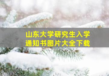 山东大学研究生入学通知书图片大全下载