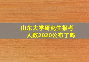 山东大学研究生报考人数2020公布了吗