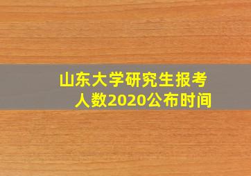 山东大学研究生报考人数2020公布时间