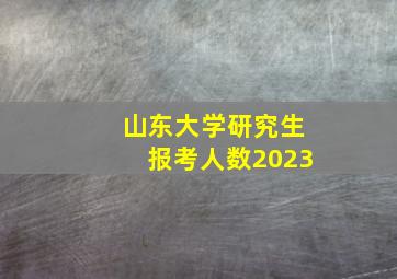 山东大学研究生报考人数2023