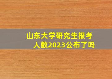 山东大学研究生报考人数2023公布了吗