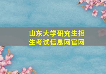 山东大学研究生招生考试信息网官网