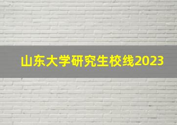 山东大学研究生校线2023