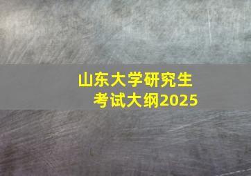 山东大学研究生考试大纲2025