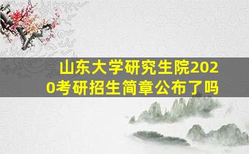 山东大学研究生院2020考研招生简章公布了吗