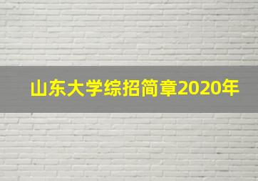 山东大学综招简章2020年