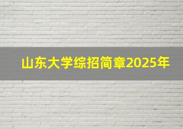 山东大学综招简章2025年