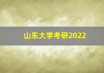 山东大学考研2022