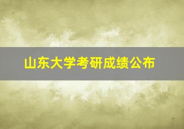 山东大学考研成绩公布