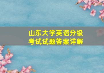 山东大学英语分级考试试题答案详解