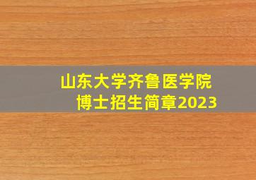 山东大学齐鲁医学院博士招生简章2023