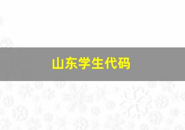 山东学生代码