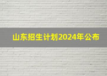 山东招生计划2024年公布