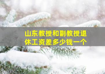 山东教授和副教授退休工资差多少钱一个