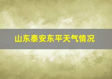 山东泰安东平天气情况