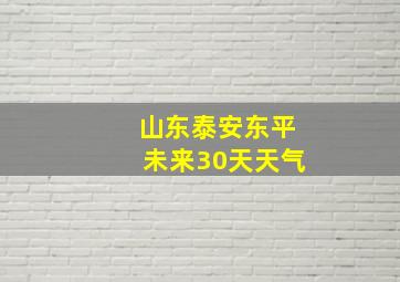 山东泰安东平未来30天天气