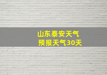 山东泰安天气预报天气30天