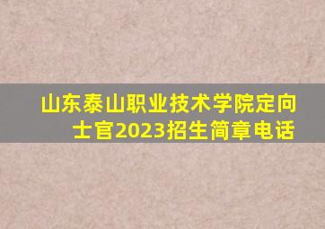 山东泰山职业技术学院定向士官2023招生简章电话