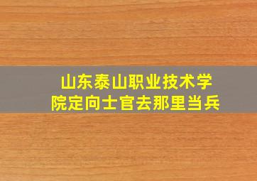 山东泰山职业技术学院定向士官去那里当兵