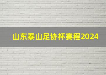 山东泰山足协杯赛程2024