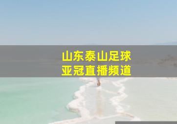 山东泰山足球亚冠直播频道