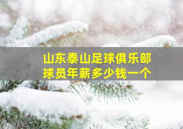 山东泰山足球俱乐部球员年薪多少钱一个