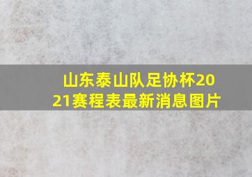 山东泰山队足协杯2021赛程表最新消息图片