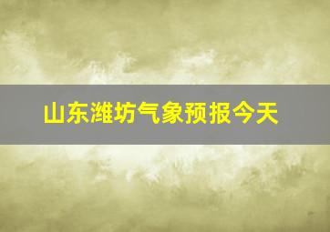 山东潍坊气象预报今天