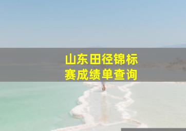 山东田径锦标赛成绩单查询