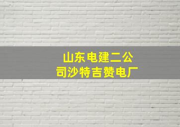 山东电建二公司沙特吉赞电厂