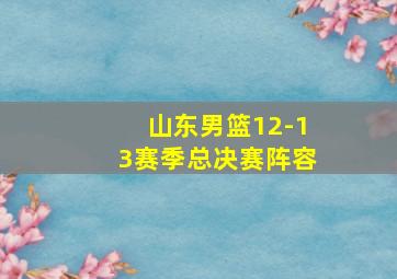 山东男篮12-13赛季总决赛阵容