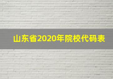 山东省2020年院校代码表