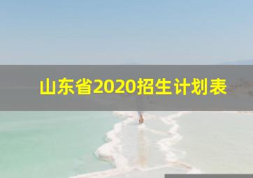 山东省2020招生计划表